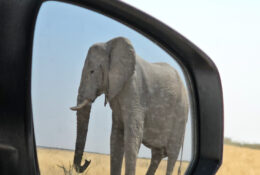 Namibia_August (93/135)